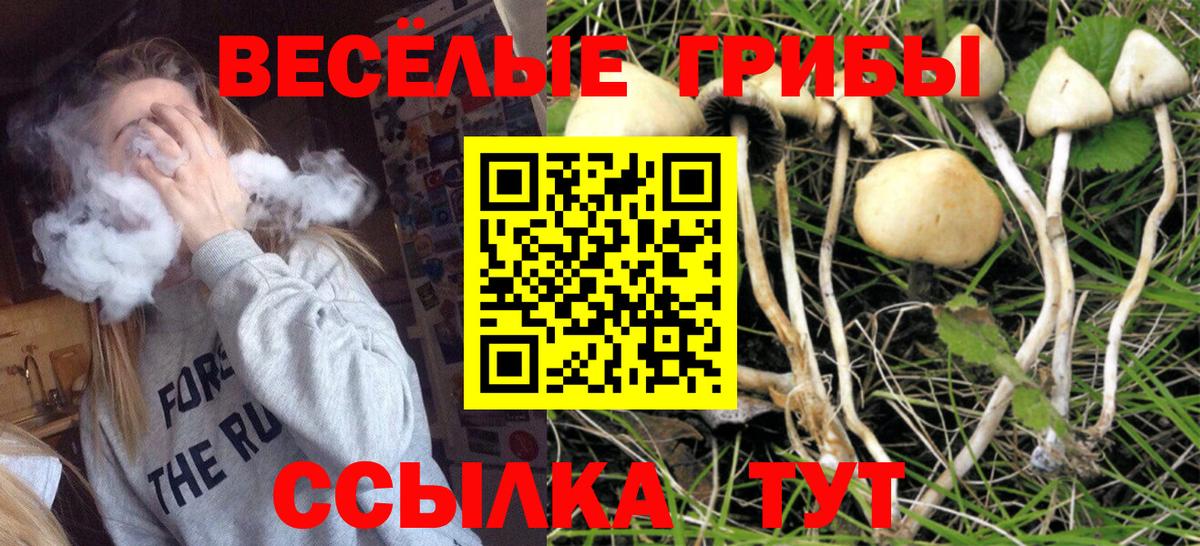 Псилоцибиновые грибы мухоморы  Псилоцибиновые грибы Magic Shrooms  Благодарный  Вход с VPN 