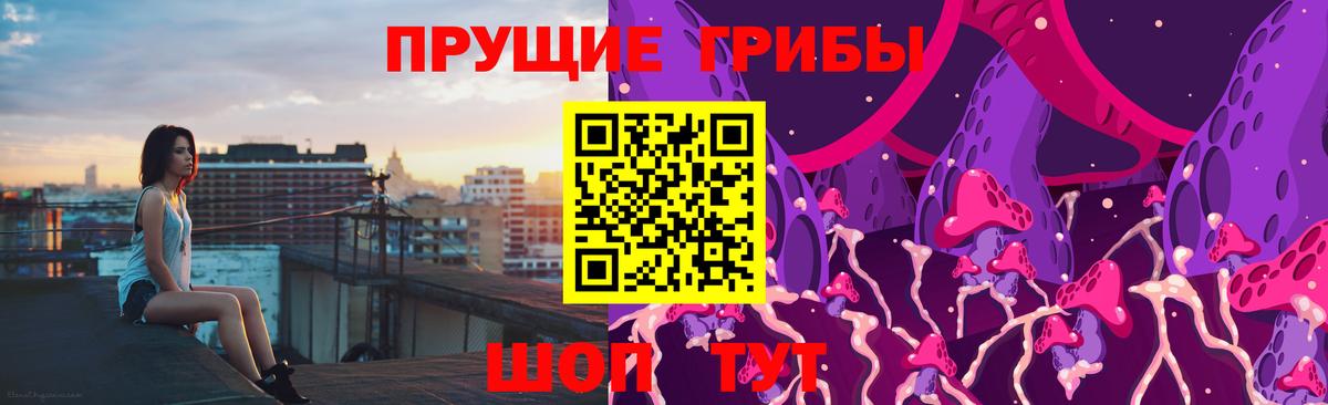 Галлюциногенные грибы GOLDEN TEACHER Благодарный
